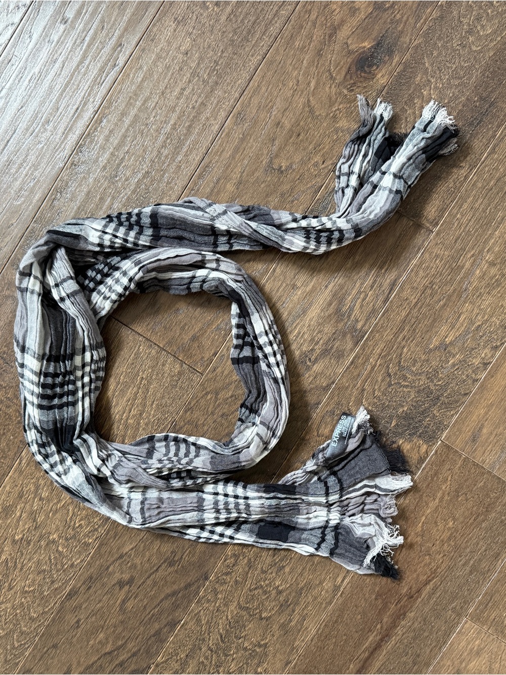 Express Black & Gray Plaid Men's Scarf